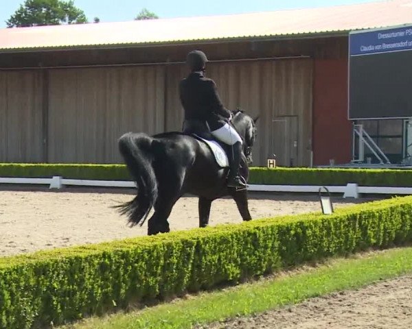 Reitturnier Baldham 2018