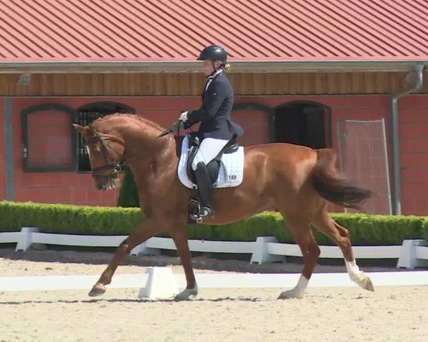 Reitturnier Baldham 2018