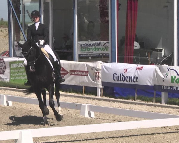 Fürstenwald Dressurtage 2018
