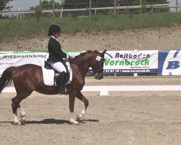 Fürstenwald Dressurtage 2018