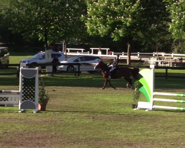 Reitturnier Meppen 2018