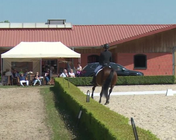 Reitturnier Baldham 2018