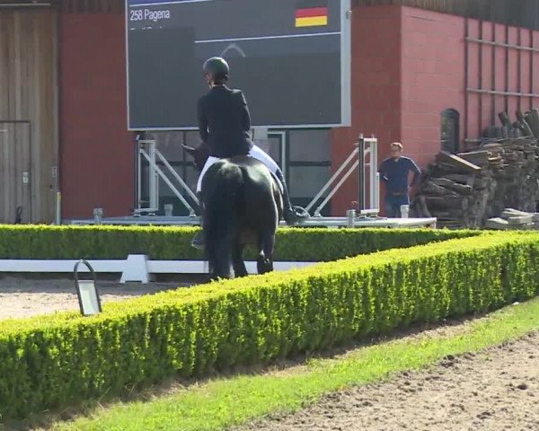 Reitturnier Baldham 2018