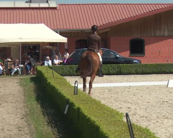 Reitturnier Baldham 2018