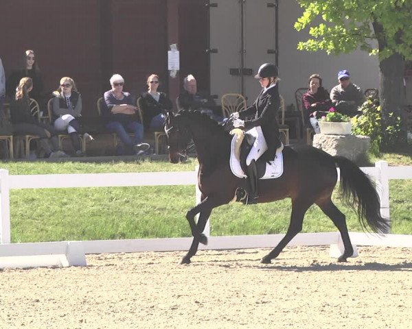 Fürstenwald Dressurtage 2018