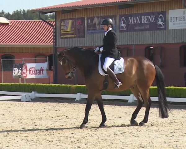 Reitturnier Baldham 2018
