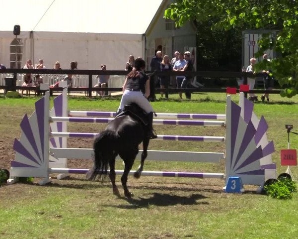 Reitturnier Meppen 2018