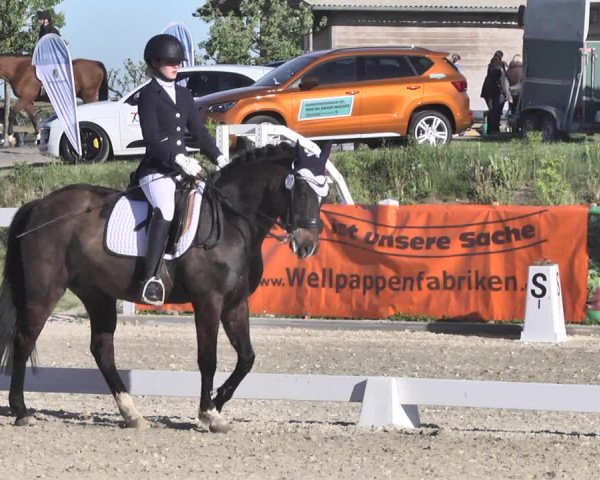 Fürstenwald Dressurtage 2018