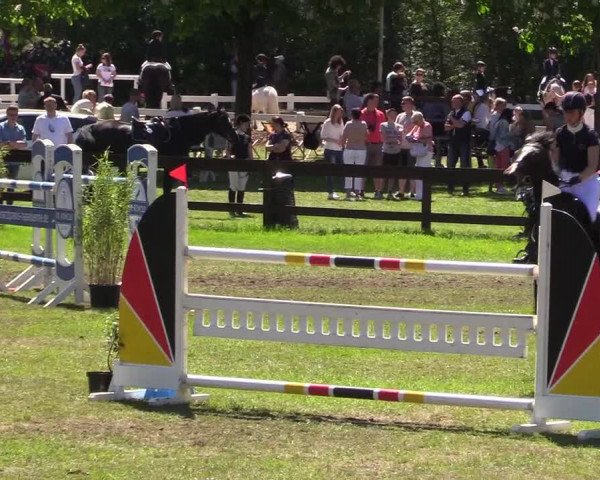 Reitturnier Meppen 2018
