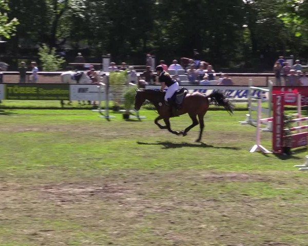 Reitturnier Meppen 2018