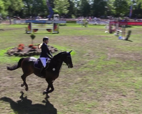 Reitturnier Meppen 2018