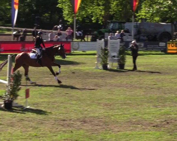 Reitturnier Meppen 2018