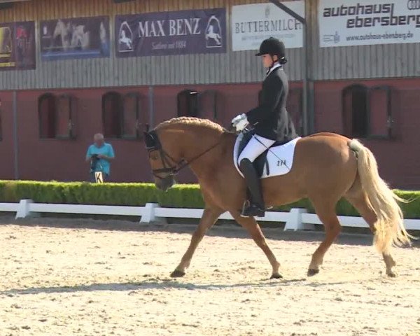Reitturnier Baldham 2018