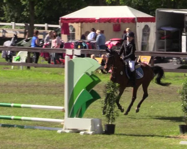 Reitturnier Meppen 2018