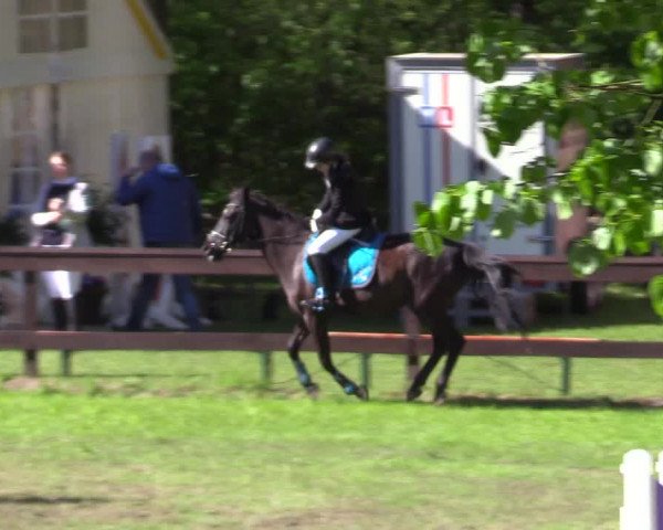 Reitturnier Meppen 2018