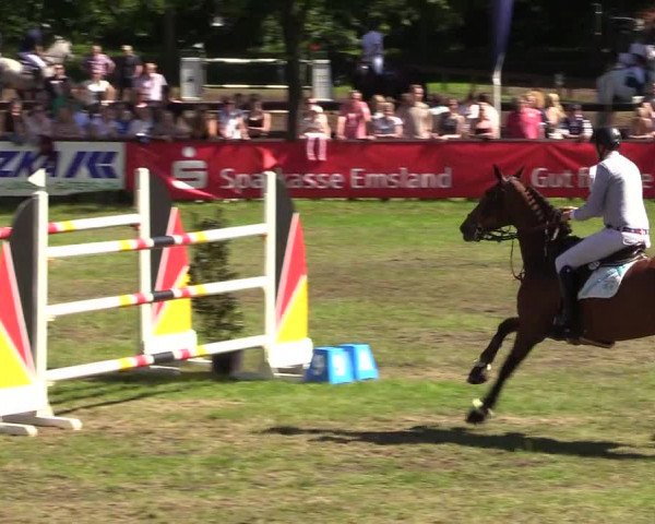 Reitturnier Meppen 2018