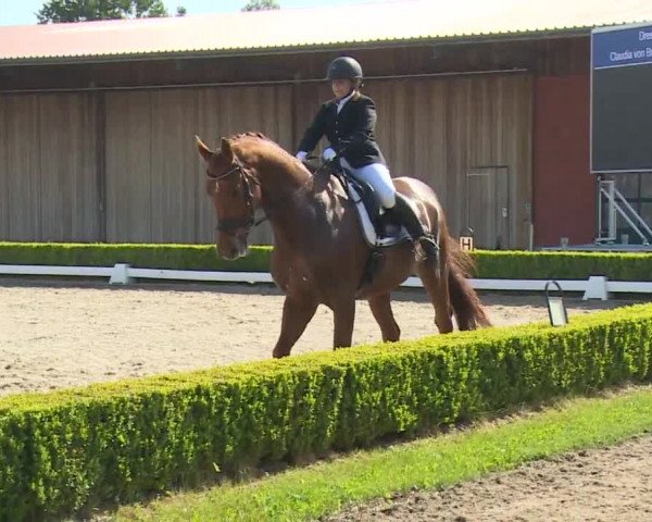 Reitturnier Baldham 2018