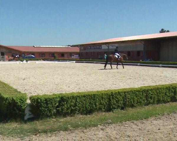 Reitturnier Baldham 2018