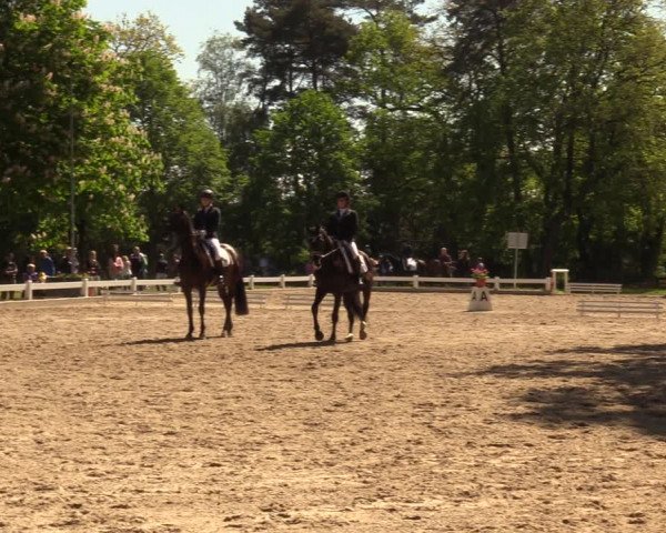 Reitturnier Meppen 2018