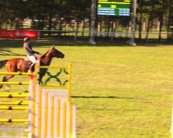 Reitturnier Altbarnim 2018