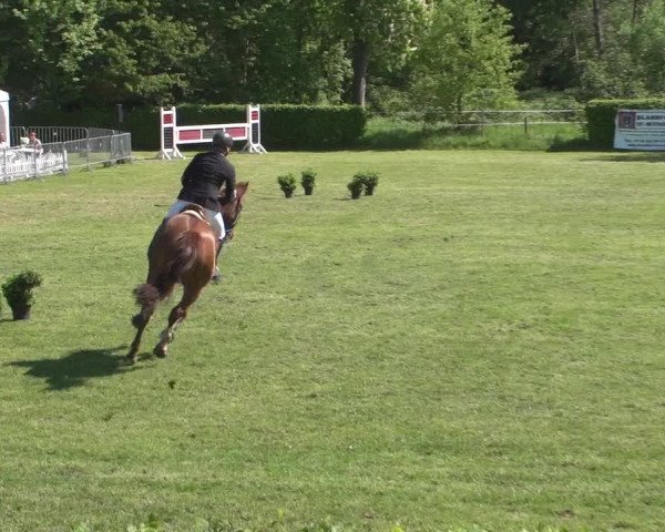 Reitturnier Jülich 2018