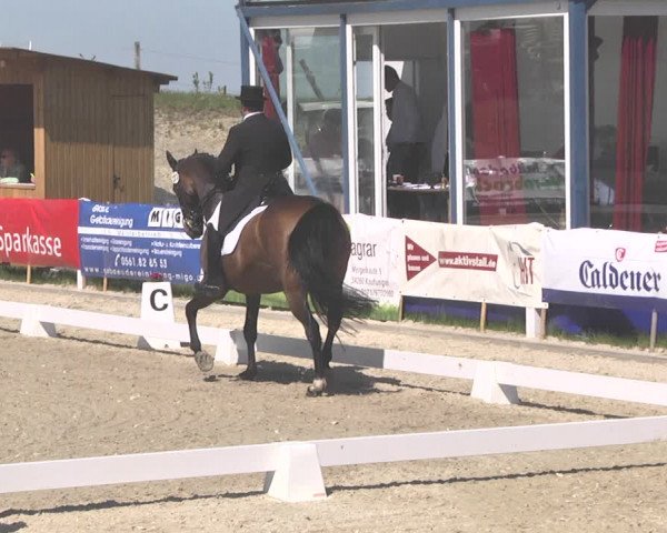 Fürstenwald Dressurtage 2018