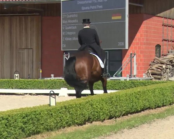 Reitturnier Baldham 2018