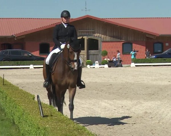 Reitturnier Baldham 2018