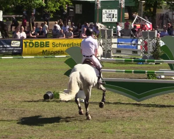 Reitturnier Meppen 2018