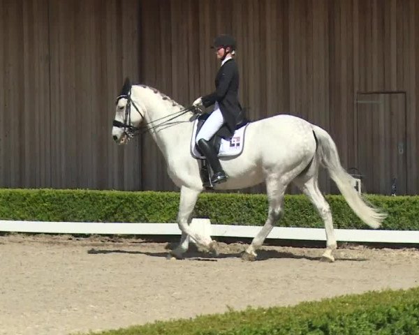 Reitturnier Baldham 2018
