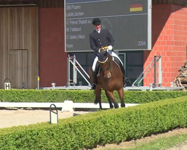 Reitturnier Baldham 2018