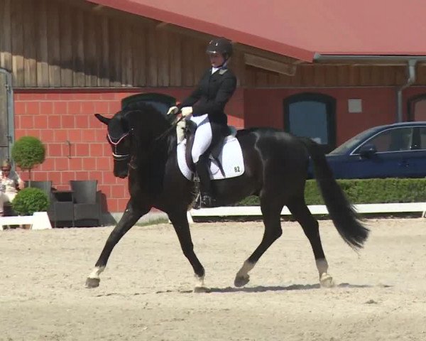 Reitturnier Baldham 2018
