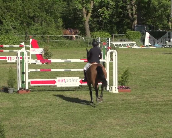 Reitturnier Jülich 2018