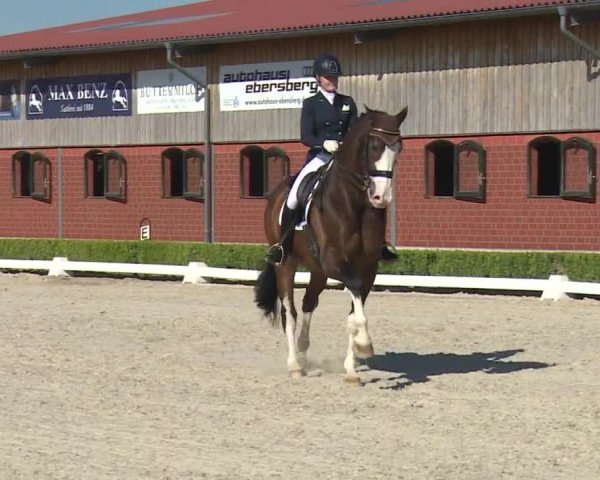 Reitturnier Baldham 2018