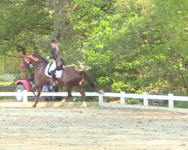 Reitturnier Meppen 2018