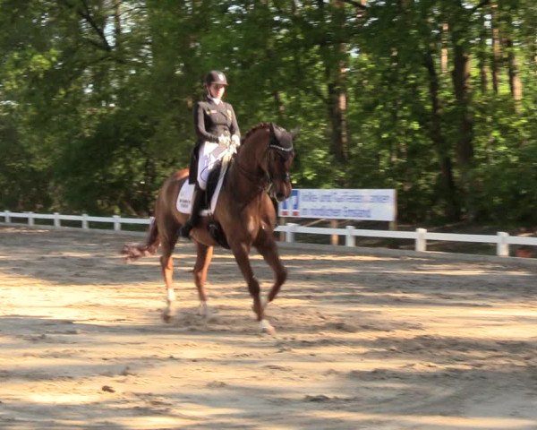 Reitturnier Meppen 2018