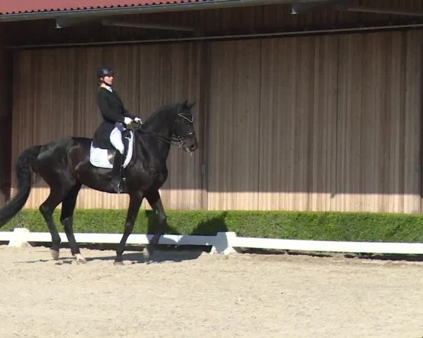Reitturnier Baldham 2018