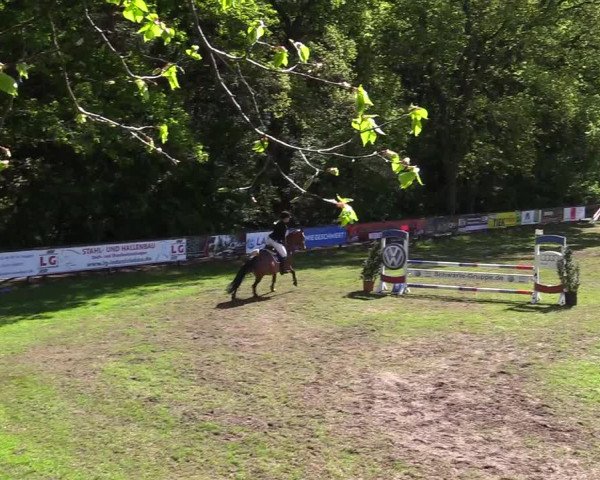 Reitturnier Meppen 2018