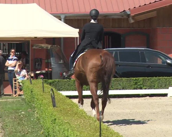 Reitturnier Baldham 2018