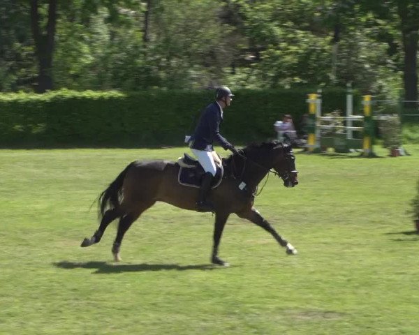 Reitturnier Jülich 2018