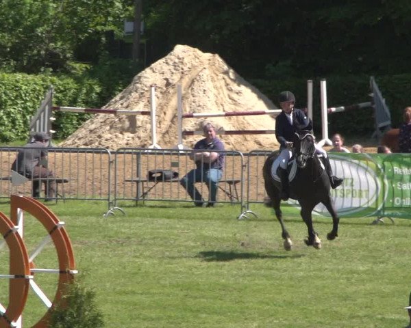 Reitturnier Jülich 2018