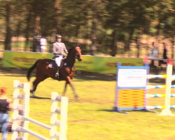 Reitturnier Altbarnim 2018