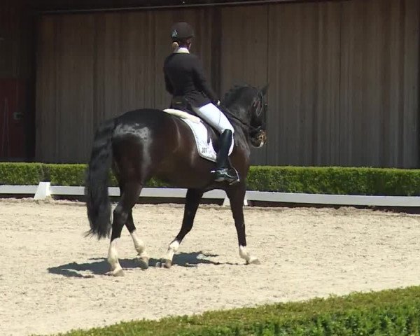 Reitturnier Baldham 2018