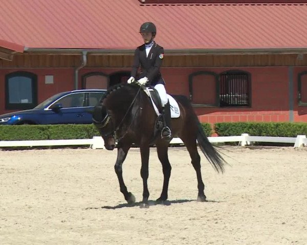 Reitturnier Baldham 2018