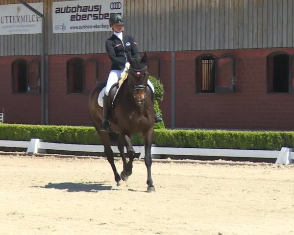 Reitturnier Baldham 2018