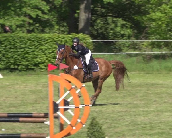 Reitturnier Jülich 2018