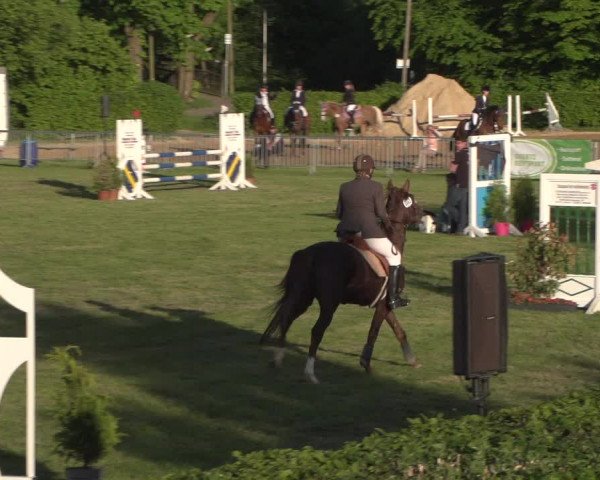 Reitturnier Jülich 2018