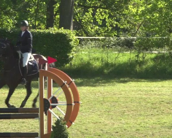 Reitturnier Jülich 2018