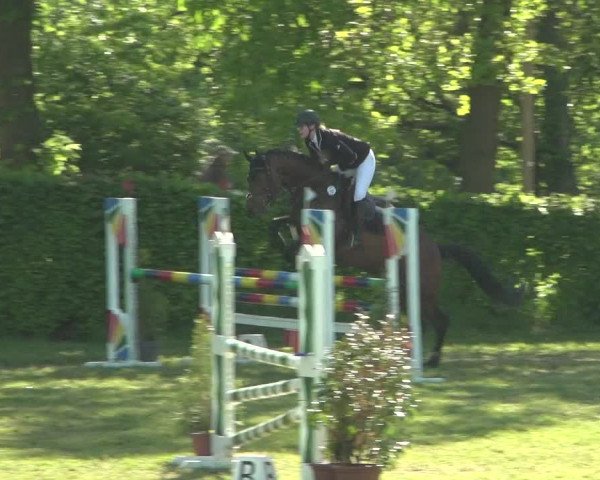 Reitturnier Jülich 2018