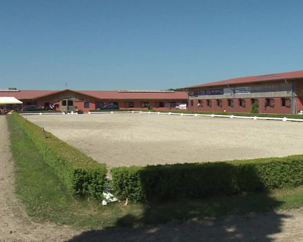 Reitturnier Baldham 2018
